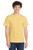 Daffodil Yellow