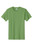 Dill Green