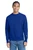 Champion--®---Reverse-Weave--®---Crewneck-Sweatshirt-S149-17