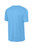 Carolina Blue/ White