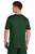 Forest Green/ White