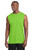 Lime Shock