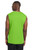 Lime Shock