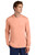 Soft Coral