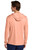 Soft Coral