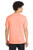 Soft Coral