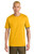 Spectra Yellow