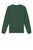 Bottle Green