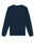 French Navy