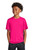Pink Raspberry