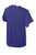 Purple/ White