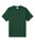Vintage Forest Green