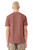Washed Chestnut