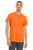 Neon Orange