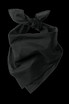 Port-Authority-®--Large-Bandana-C965-2