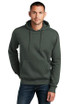 District  ®  Perfect Weight  ®  Fleece Hoodie DT1101