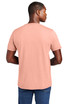 District-Wash-™--Tee-DT2101-3