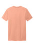 District-Wash-™--Tee-DT2101-5