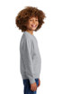 District ®  Youth V.I.T. ™  Fleece Crew DT6104Y