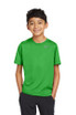 Nike Youth Team rLegend Tee DV7317