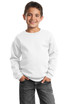 Port-&-Co---Youth-Core-Fleece-Crewneck-Sweatshirt.--PC90Y-1