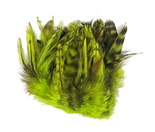 Strung 4-6 Inch Grizzly Variant Saddle Hackle
