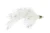Fish Whacker Mini #6