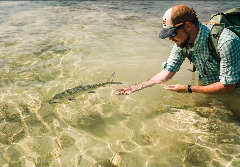 Why Andros South Lodge?