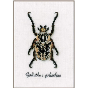 Vervaco Vervaco - Beige Beetle Cross Stitch Kit