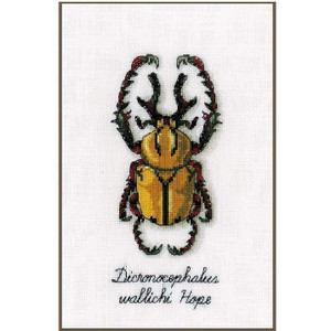 Vervaco Vervaco - Golden Beetle Cross Stitch Kit Vervaco Vervaco - Golden Beetle Cross Stitch Kit