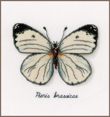 Vervaco Vervaco - White Butterfly Cross Stitch Kit