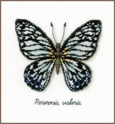 Vervaco Vervaco - Blue Butterfly Cross Stitch Kit