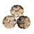 Seco Knopf Mother Of Pearl Button Flower Shape 18 mm Seco Knopf Mother Of Pearl Button Flower Shape 18 mm