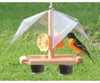 SONGBIRD ESSENTIALS - Oriole Feeder Buffet Fruit and Jelly Bird Feeder (SE560) 645194005600