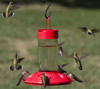 SONGBIRD ESSENTIALS - Dr. JB's Clean Feeder - Hummingbird Feeder - 16 oz - Red (SE6002) 645194060029