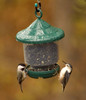 SONGBIRD ESSENTIALS - Clingers Only Bird Feeder - (Green) (SE7012) 645194070127