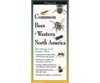 OakridgeStores.com | EARTH SKY + WATER - Common Bees of Western North America Folding Guide (LEWERSBWN114) 740620905681