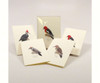 OakridgeStores.com | EARTH SKY + WATER - Peterson Western Woodpecker Assortment (LEWERSNC107) 740620904486