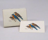 OakridgeStores.com | EARTH SKY + WATER - Eastern Bluebird Notecard Assortment (8 of 1 style) (LEWERSNC53) 740620903328