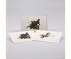 OakridgeStores.com | EARTH SKY + WATER - American Holly Assortment. (seasonal) Notecards (LEWERSNC65) 740620903472