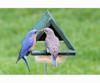 OakridgeStores.com | Songbird Essentials - Multi-Purpose Chalet With Stake (SE516) 645194005167