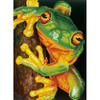OakridgeStores.com | Diamond Dotz - Green Tree Frog Diamond Dotz Diamond Embroidery Facet Art Kit 16.5"X12.6" (DD7031) 4897073249391