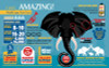 OakridgeStores.com | MADD CAPP - I Am Elephant 700 pc Puzzle (3007) 040232343254