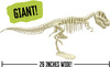 OakridgeStores.com | THAMES & KOSMOS - Giant T-REX Dinosaur Skeleton - Paleontology Science Model Building Kit (632120) 814743013360