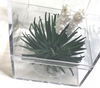 RESALE SHOP - Dollhouse 1" scale Artisan Yucca Plant - OOAK- NEW