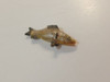 RESALE SHOP - Miniature 1:12  Scale Fish- Artisan Ella Reallbach- lot of 6- preowned