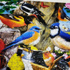 OakridgeStores.com | MASTERPIECES - Audubon - Spring Gathering 1000 Piece Jigsaw Puzzle (72061) 705988720611