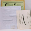 RESALE SHOP - NOB Forma Plane 1:72 IAR 80 Vacuum Formed Kit