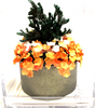 RESALE SHOP - Dollhouse 1" scale Artisan Planter Box with Evergreen and Floral - OOAK- NEW