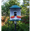 OakridgeStores.com | Beakview Camera - Hummingbird Feeder Attachment - 2 Flower Feeder - For - BVHUM2 784300769279